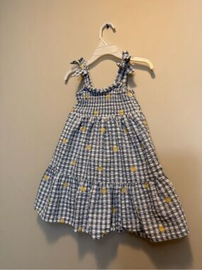 btween Blue Gingham Sundress with Yellow Daisy Embroidery